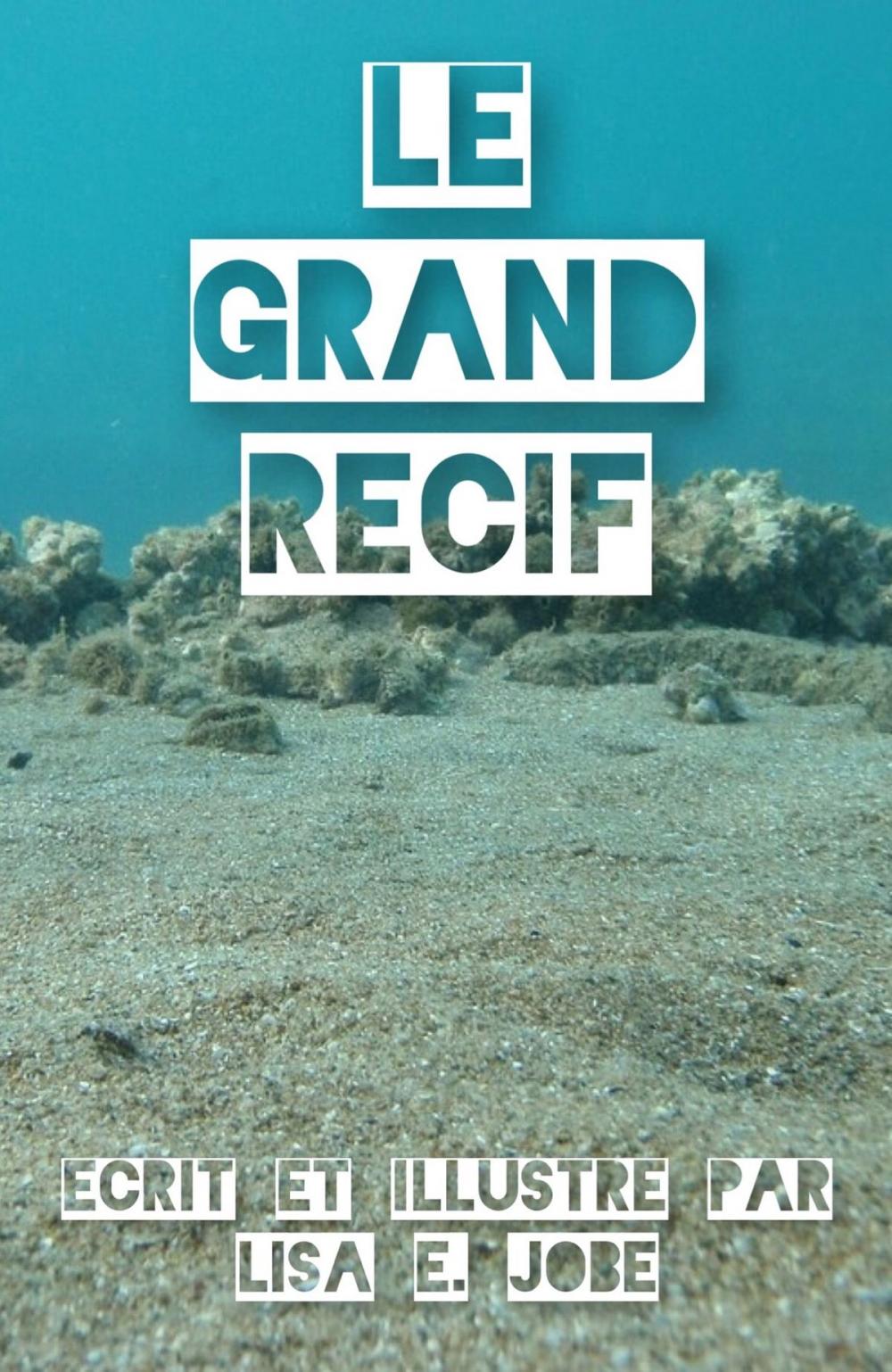 Big bigCover of Le Grand Recif