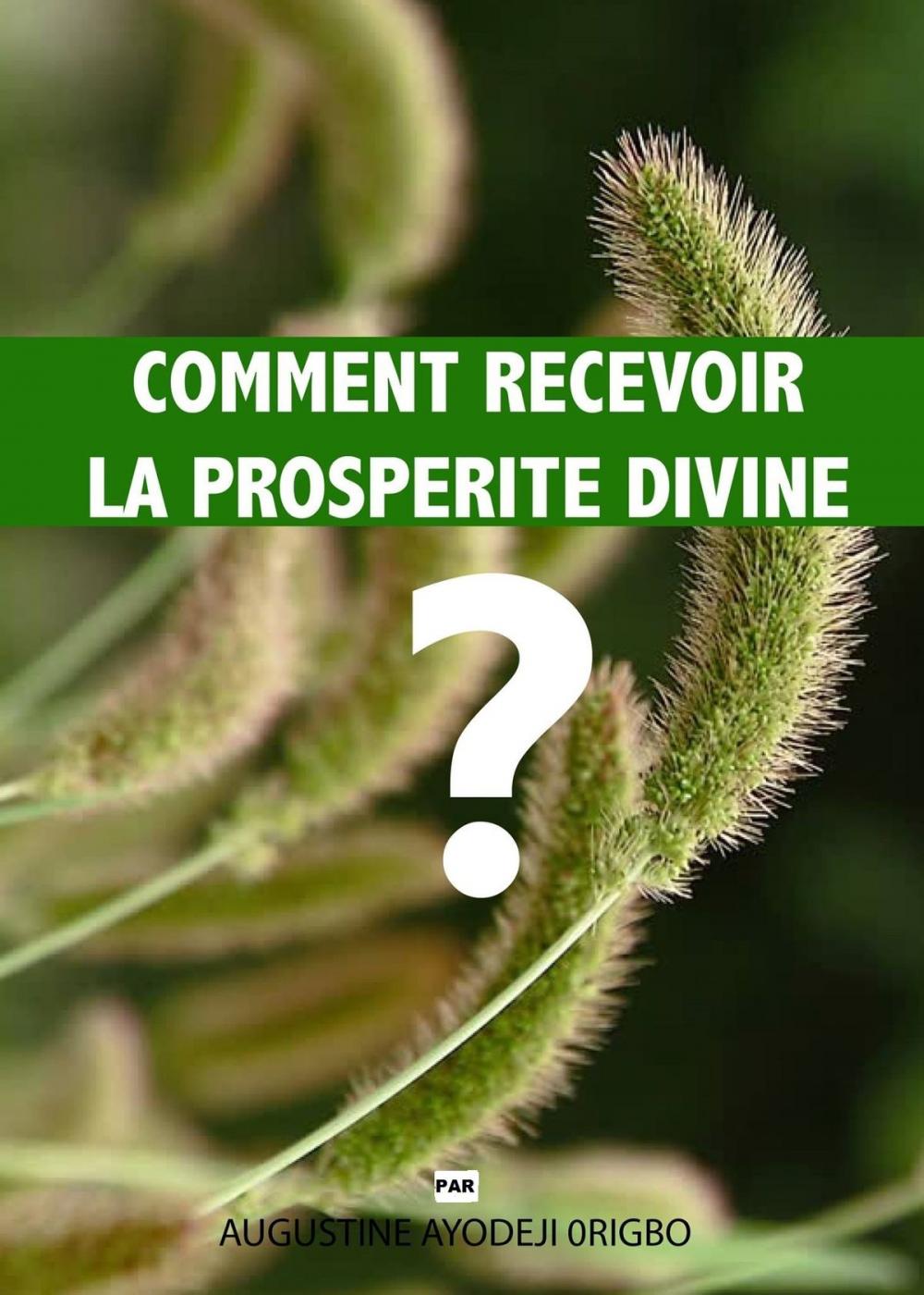 Big bigCover of Comment Recevoir La Prosperite Divine