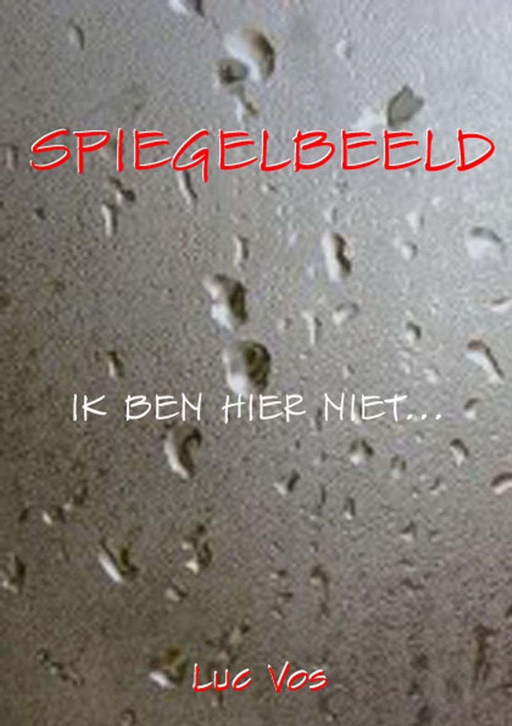 Big bigCover of Spiegelbeeld