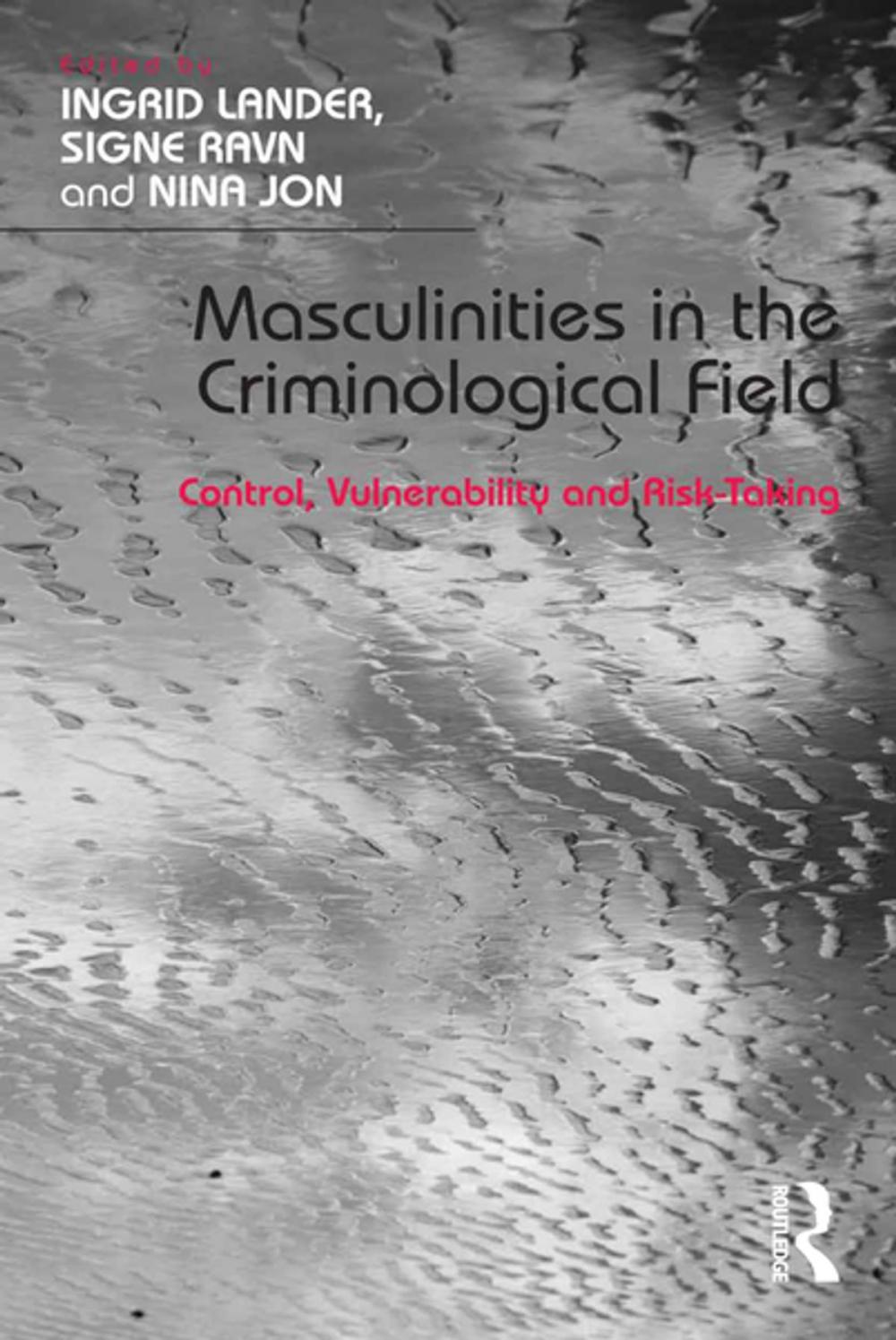 Big bigCover of Masculinities in the Criminological Field