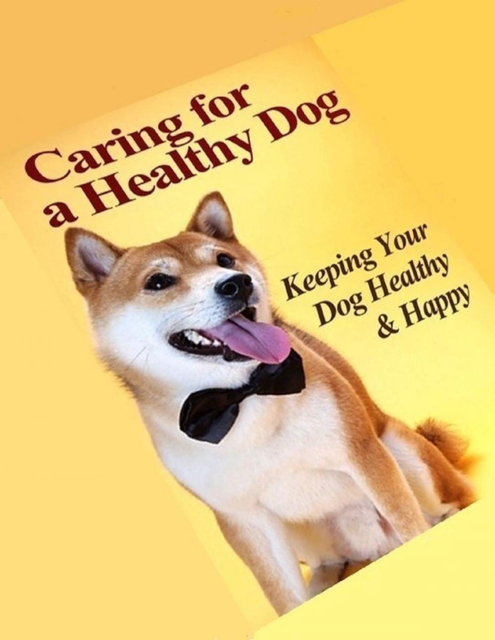 Big bigCover of Caring for a Healthy Dog