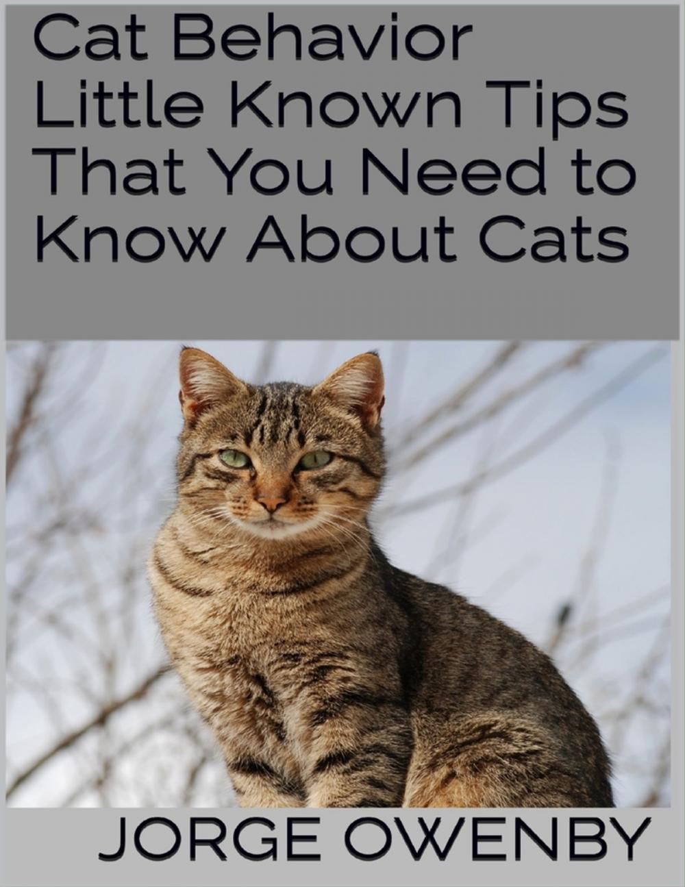 Big bigCover of Cat Behavior: Little Known Tips That You Need to Know About Cats