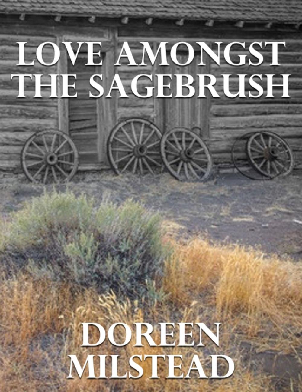 Big bigCover of Love Amongst the Sagebrush