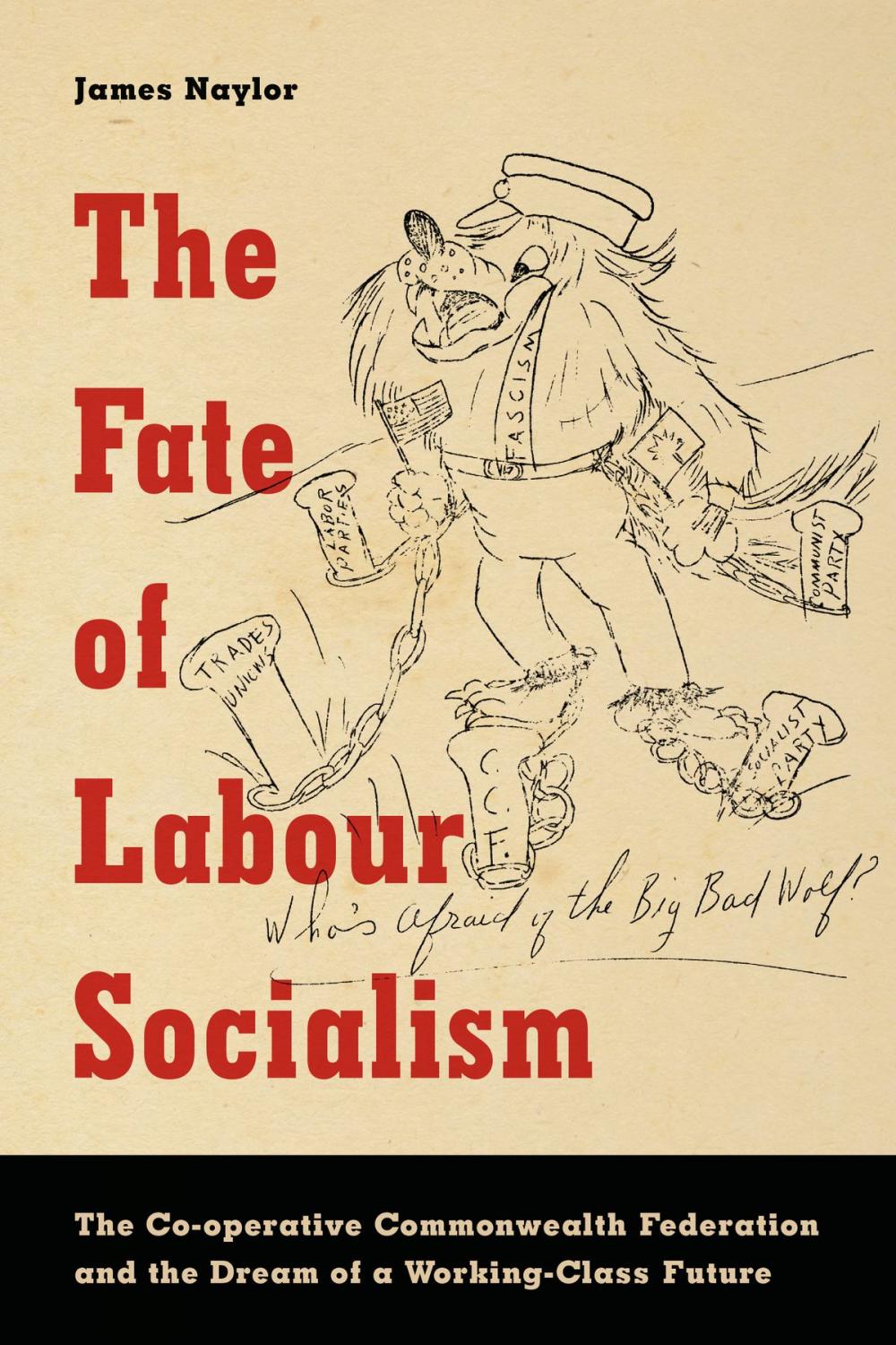 Big bigCover of The Fate of Labour Socialism