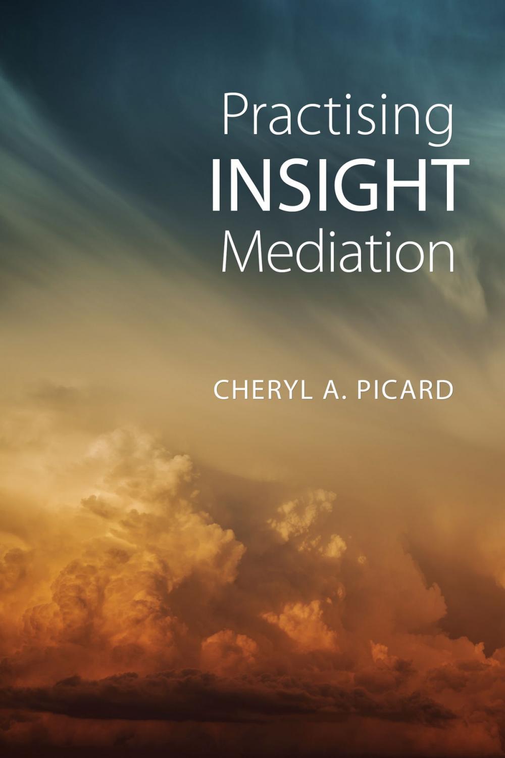 Big bigCover of Practising Insight Mediation