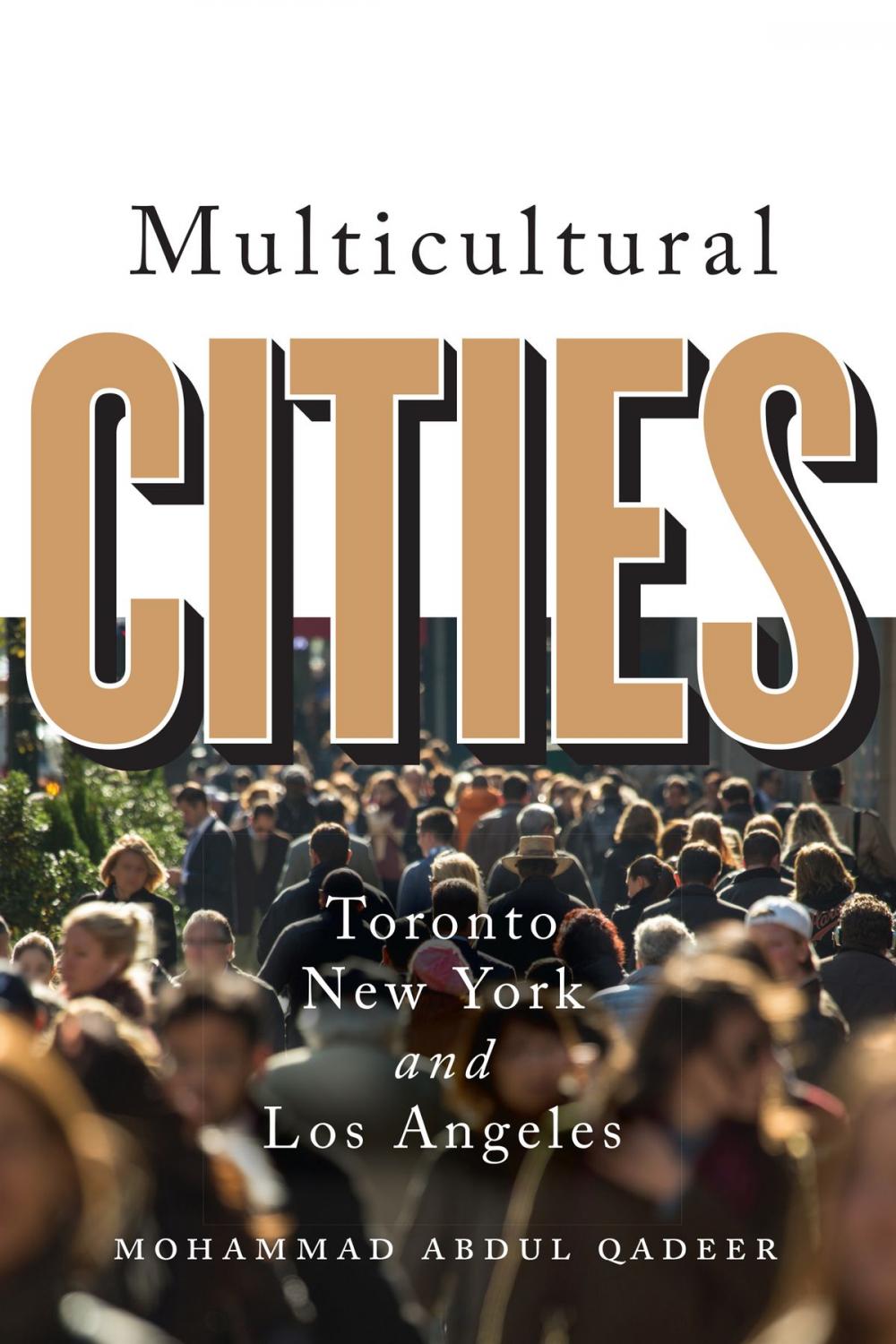 Big bigCover of Multicultural Cities