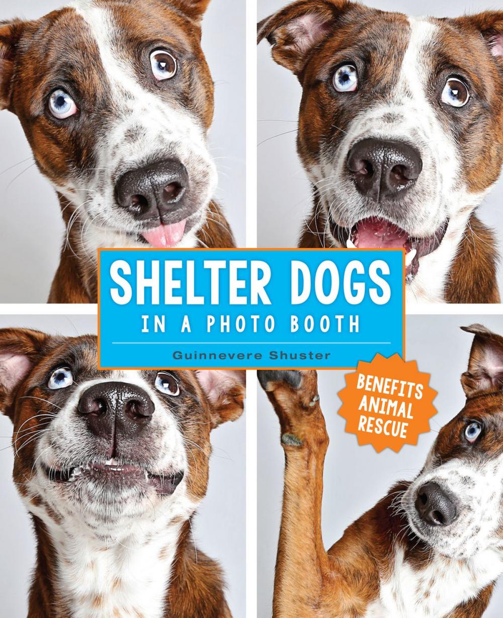Big bigCover of Shelter Dogs in a Photo Booth