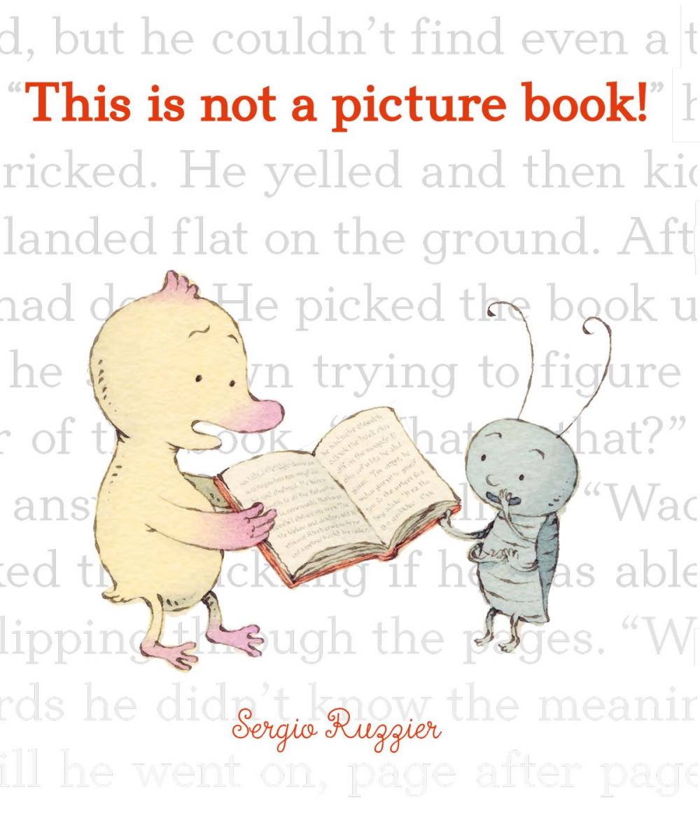 Big bigCover of This Is Not a Picture Book!