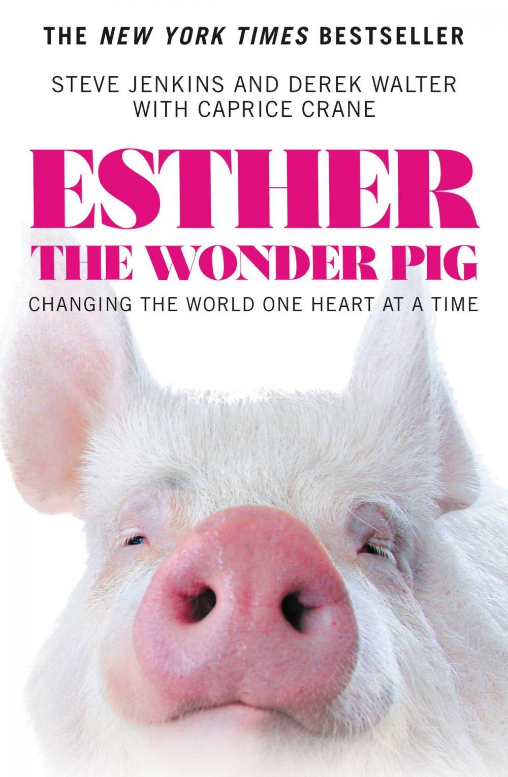 Big bigCover of Esther the Wonder Pig