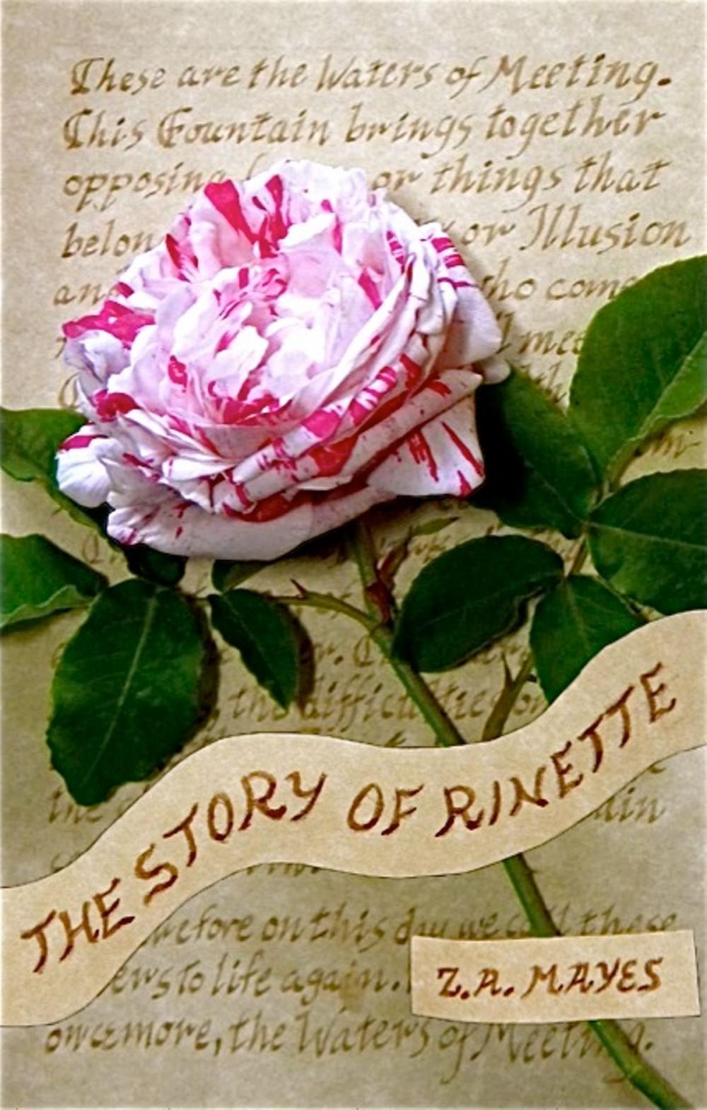 Big bigCover of The Story of Rinette