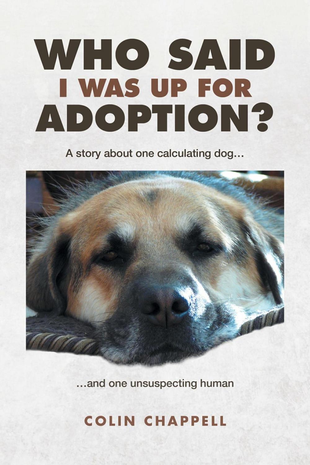 Big bigCover of Who Said I Was Up For Adoption?