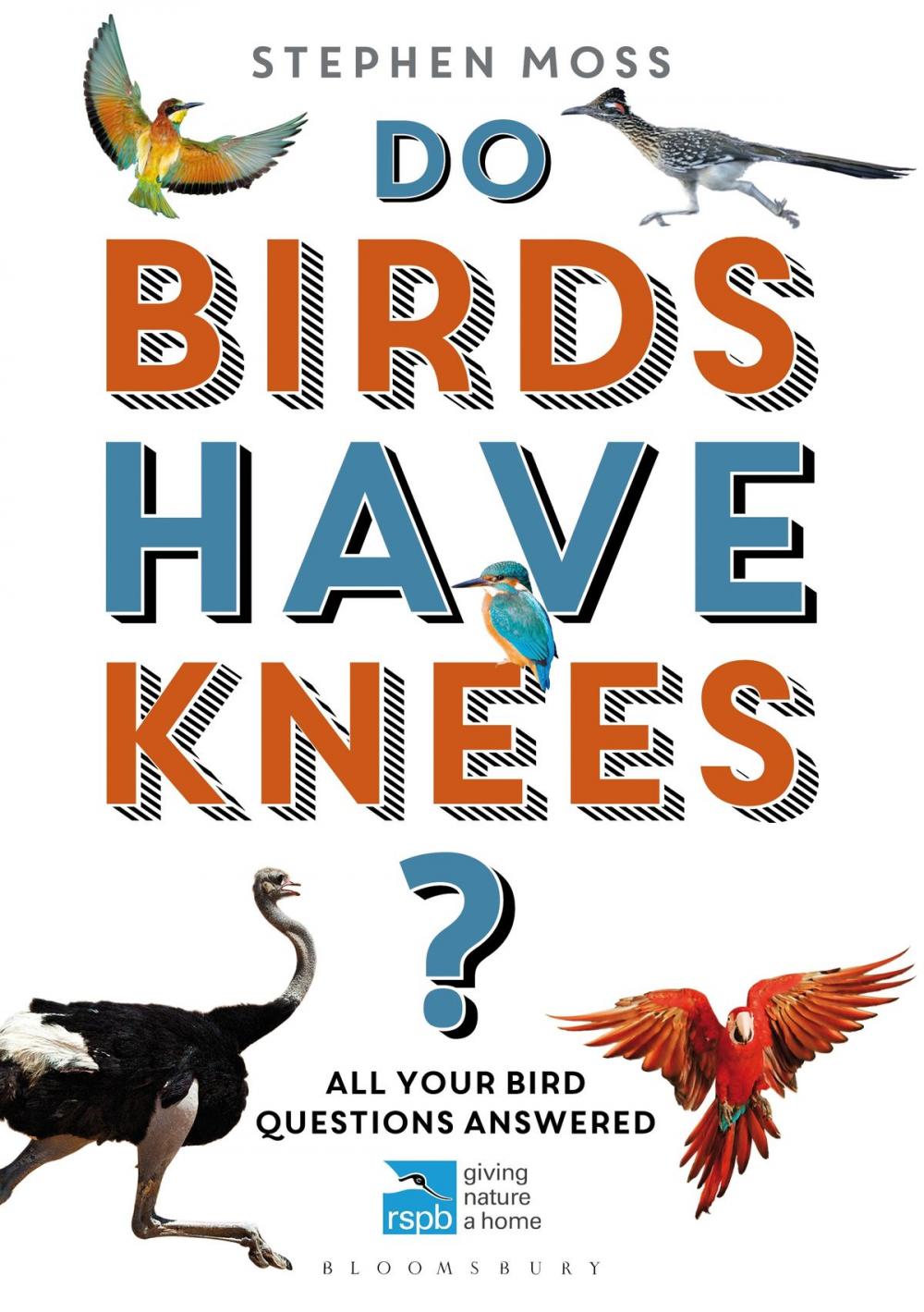 Big bigCover of Do Birds Have Knees?