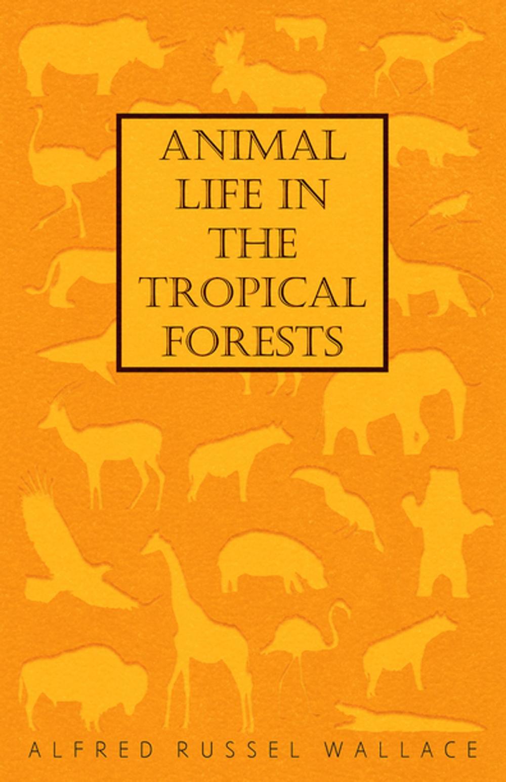 Big bigCover of Animal Life in the Tropical Forests