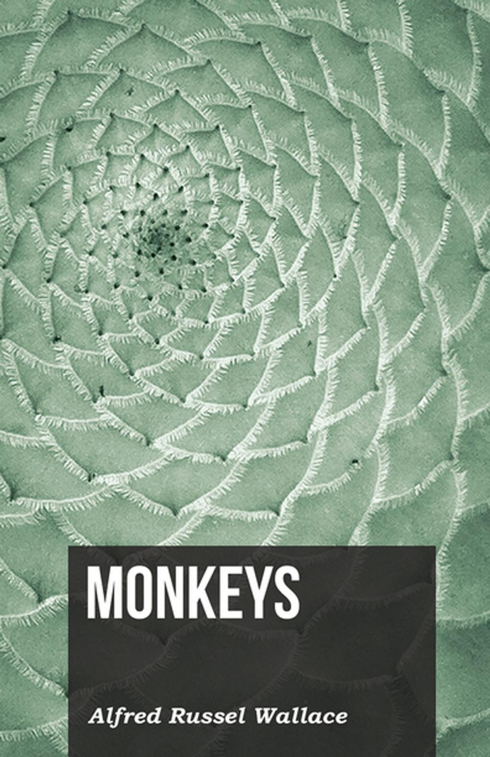 Big bigCover of Monkeys