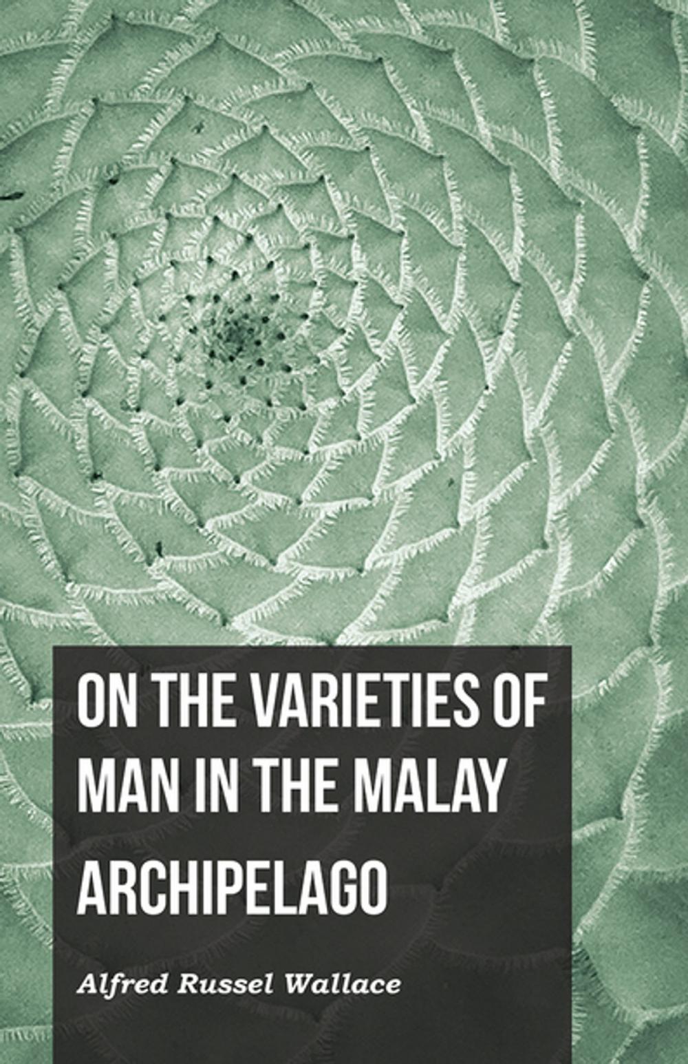 Big bigCover of On the Varieties of Man in the Malay Archipelago