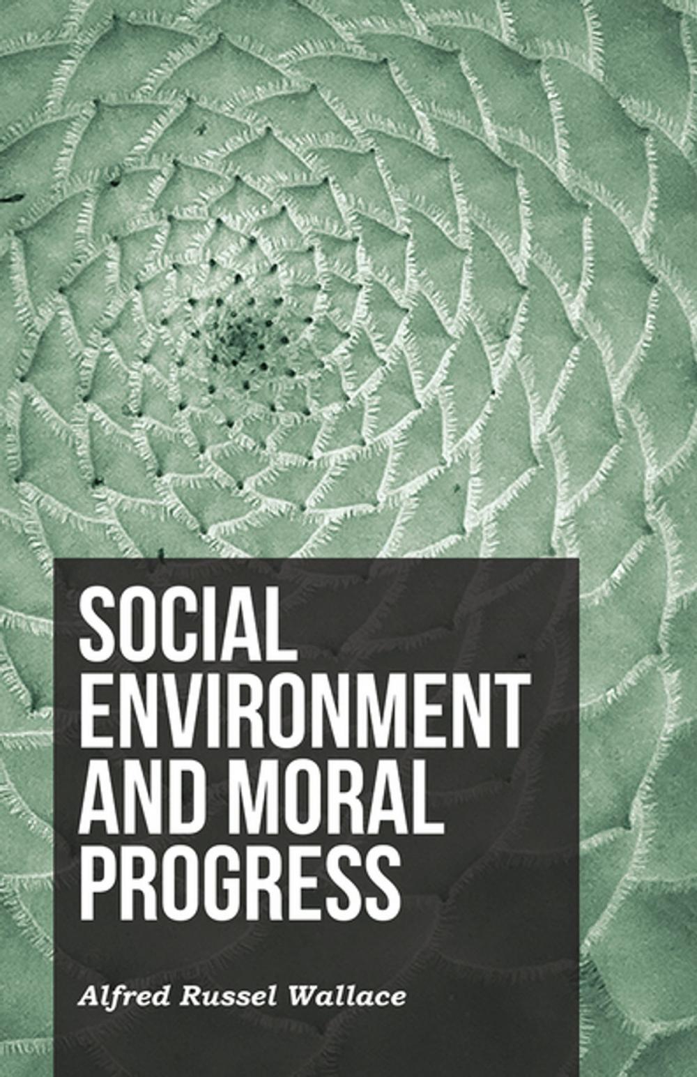 Big bigCover of Social Environment and Moral Progress