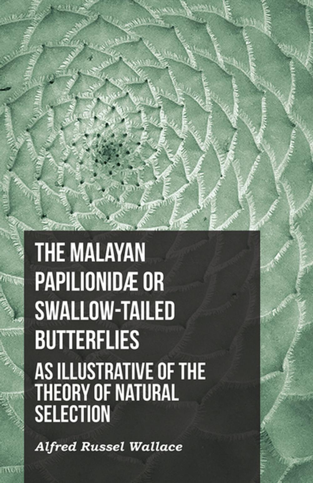 Big bigCover of The Malayan PapilionidÃ¦ or Swallow-tailed Butterflies, as Illustrative of the Theory of Natural Selection