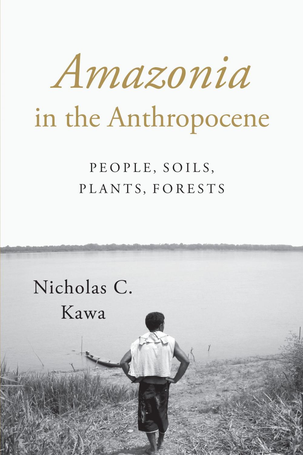 Big bigCover of Amazonia in the Anthropocene