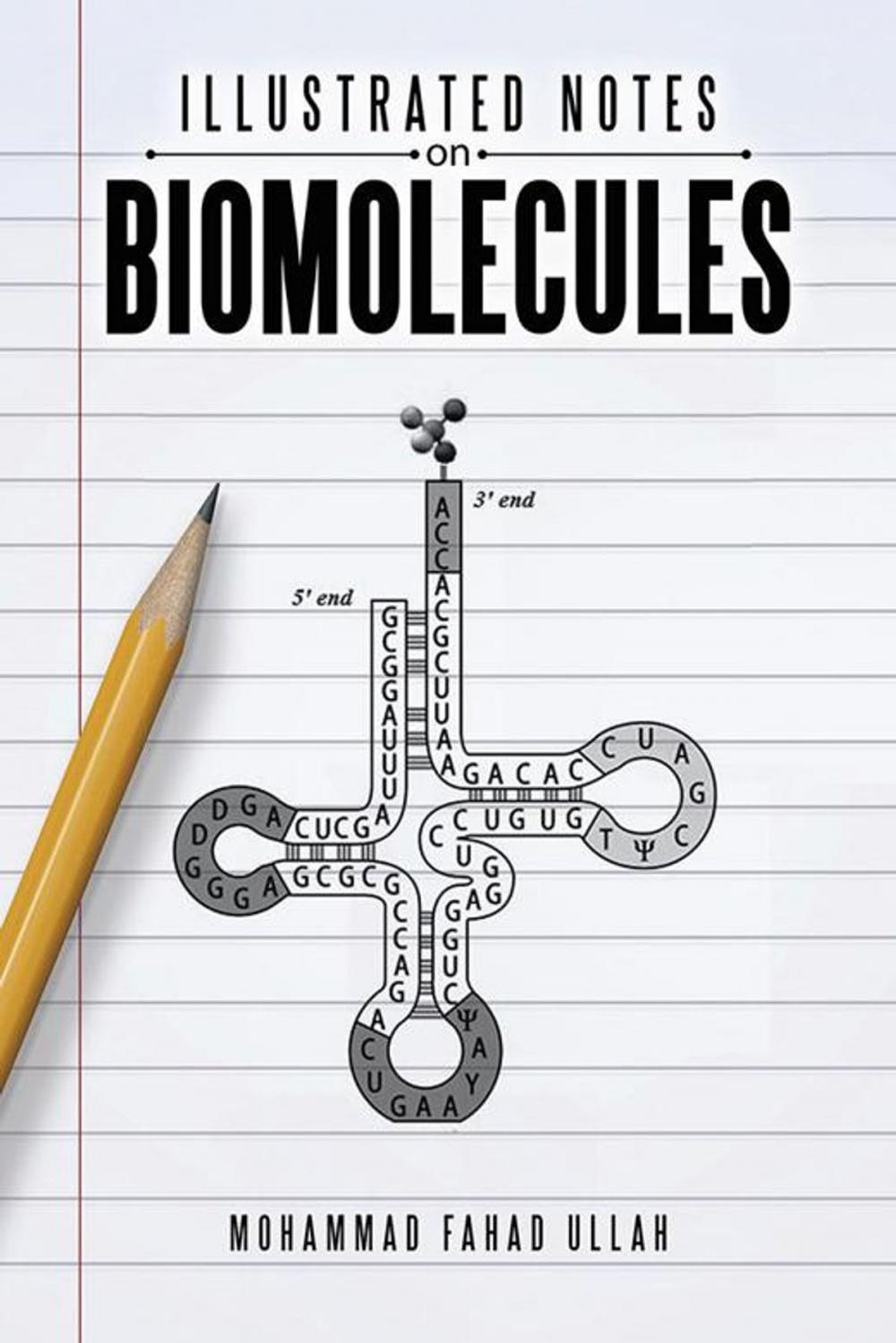 Big bigCover of Illustrated Notes on Biomolecules