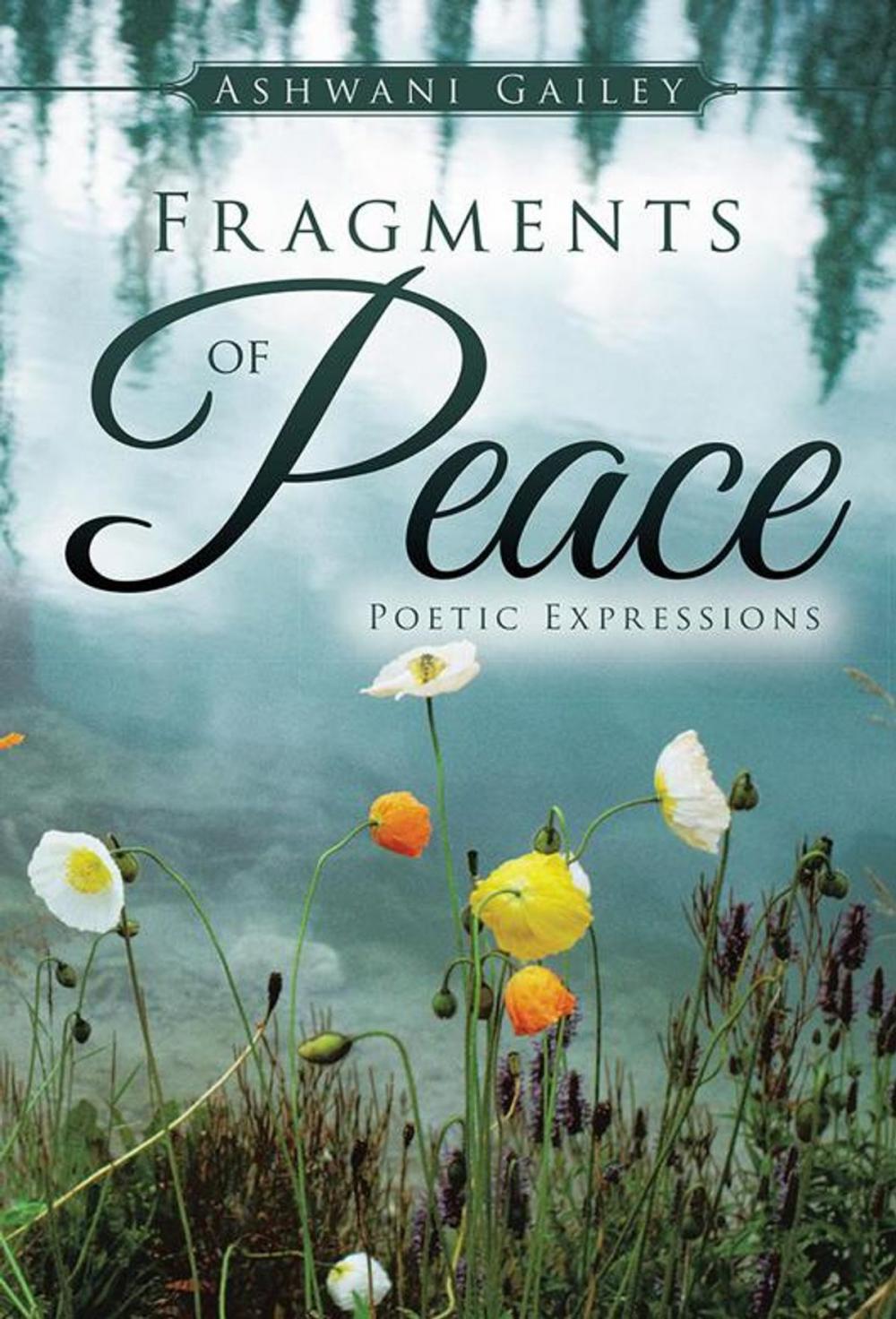 Big bigCover of Fragments of Peace