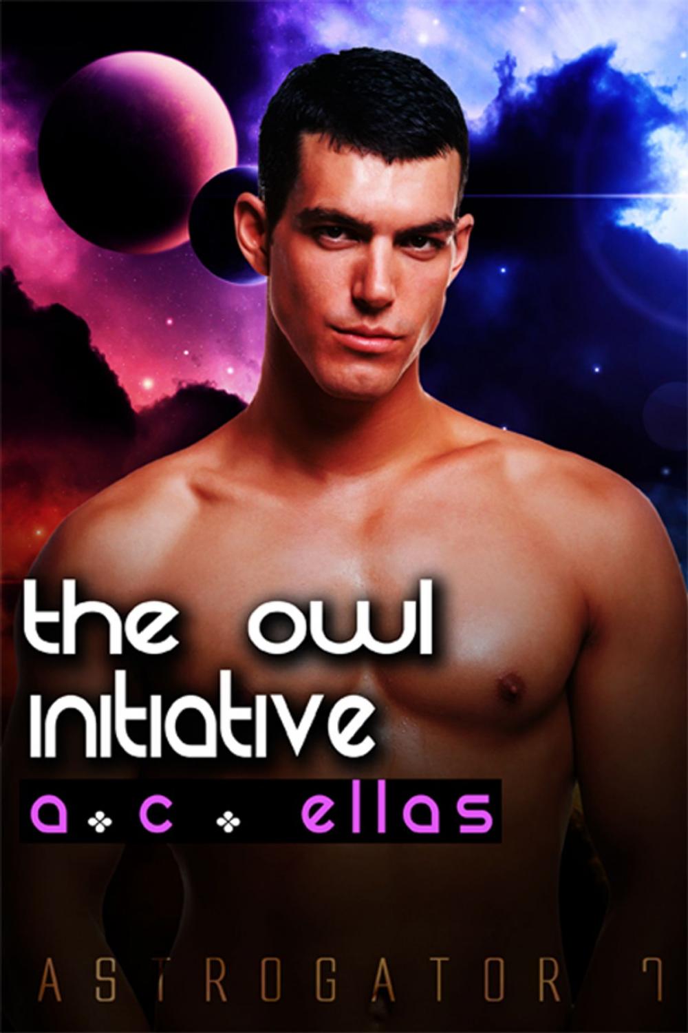 Big bigCover of The Owl Initiative