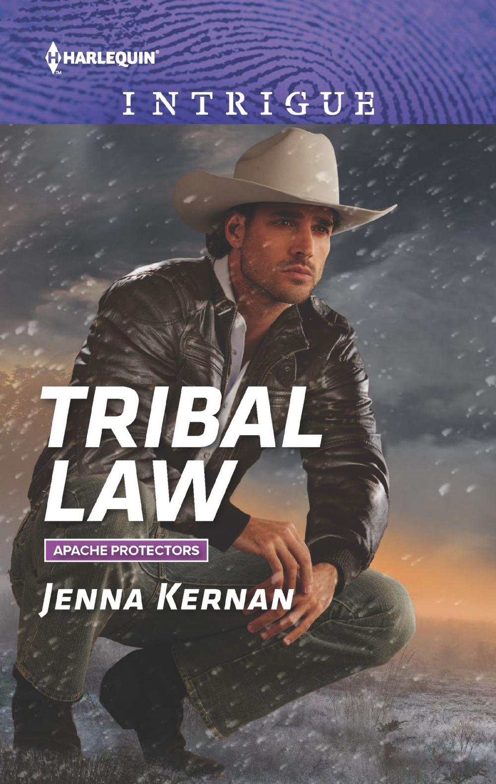 Big bigCover of Tribal Law