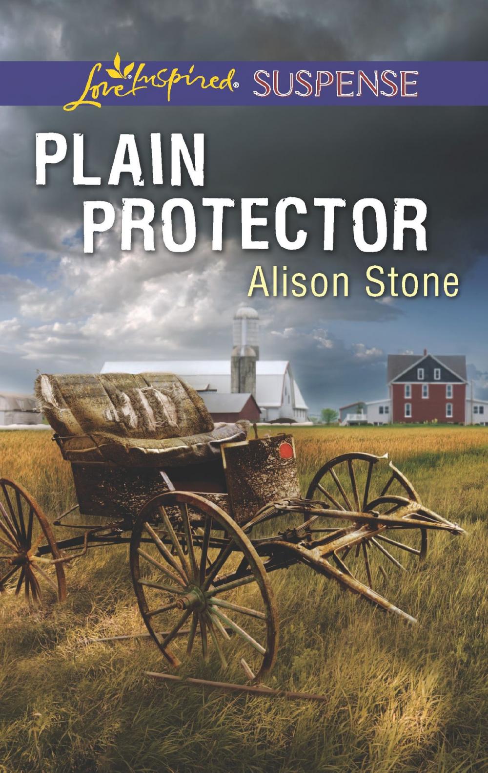 Big bigCover of Plain Protector