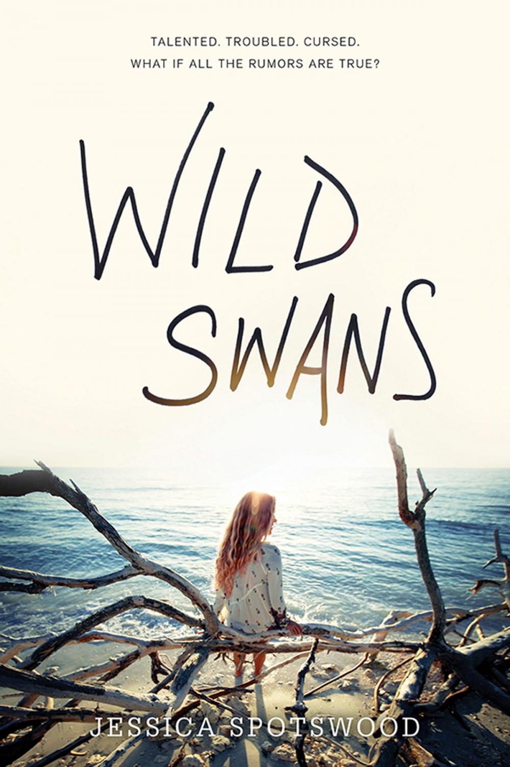 Big bigCover of Wild Swans