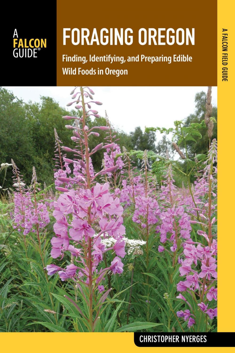 Big bigCover of Foraging Oregon