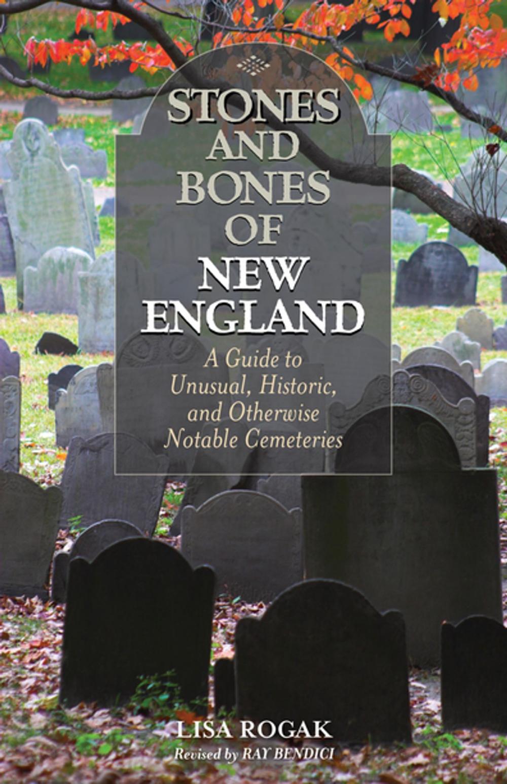 Big bigCover of Stones and Bones of New England