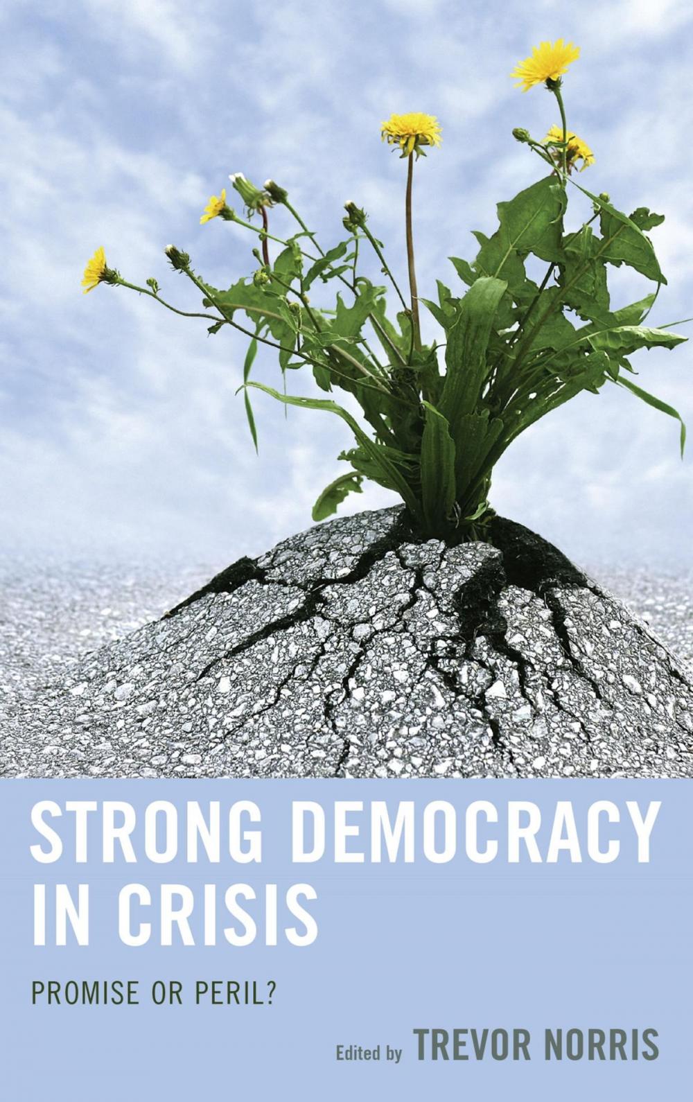 Big bigCover of Strong Democracy in Crisis