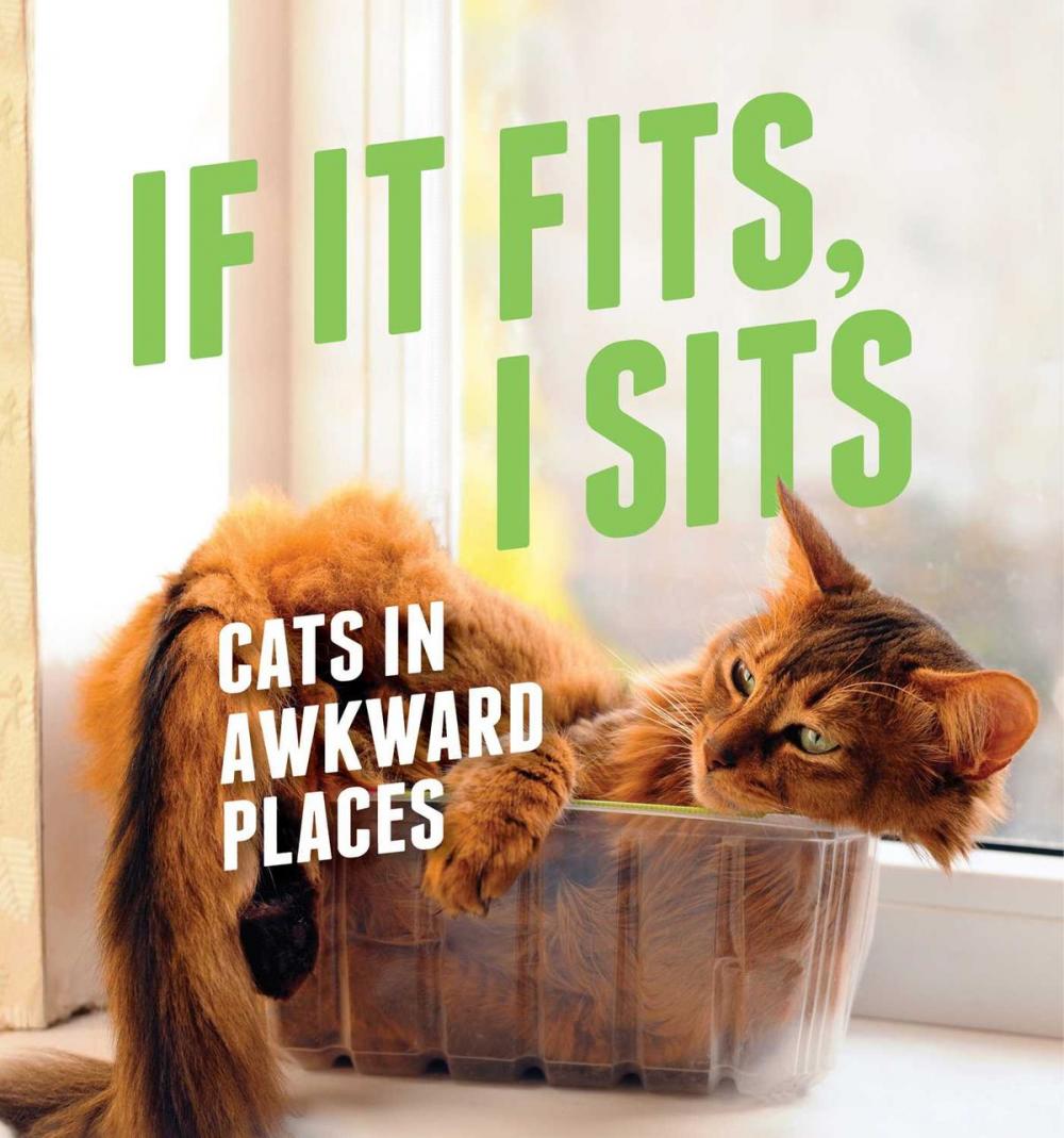 Big bigCover of If It Fits, I Sits