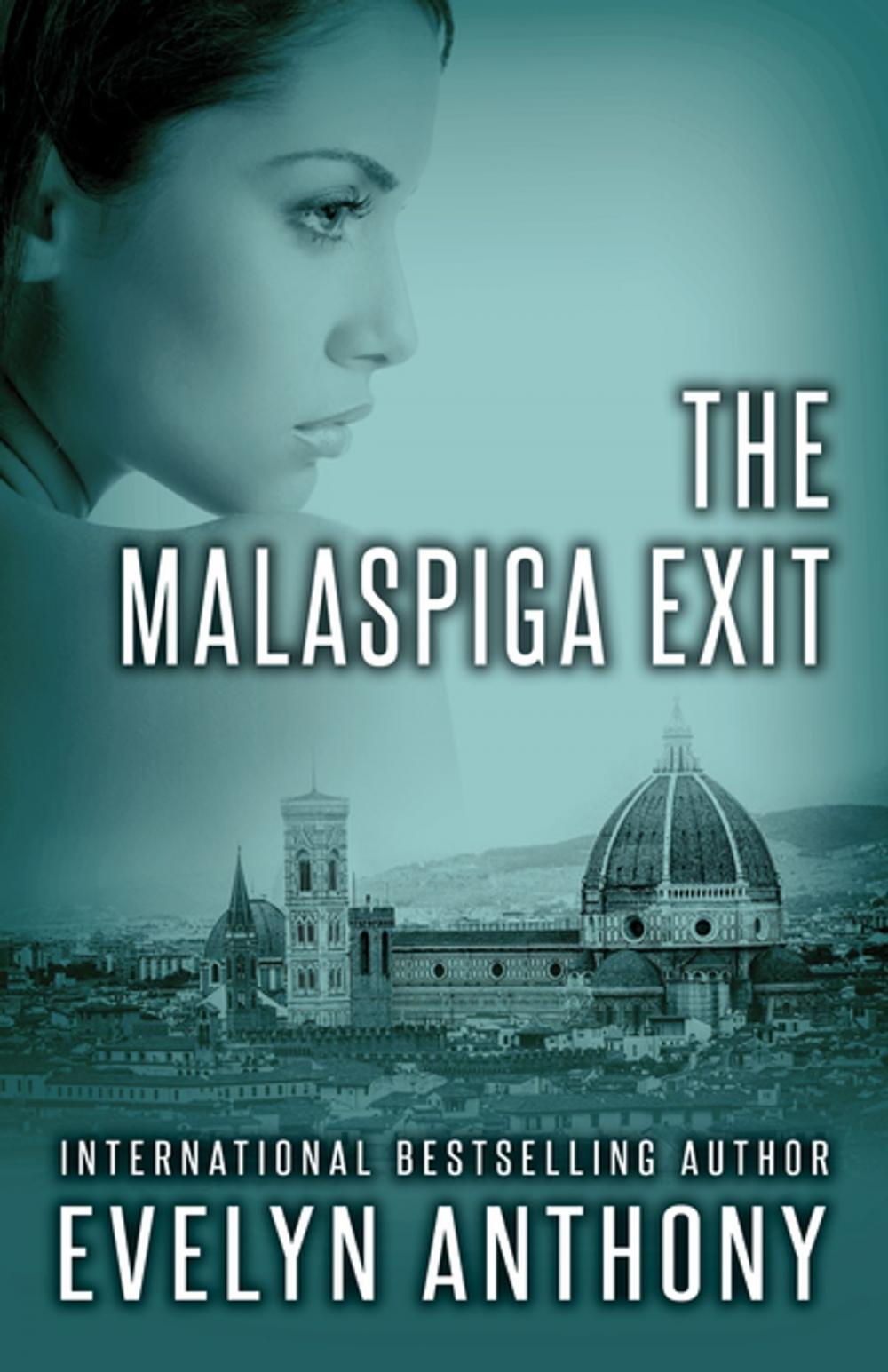 Big bigCover of The Malaspiga Exit