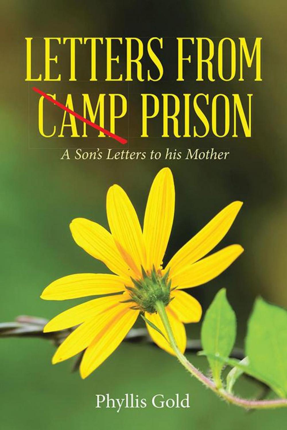 Big bigCover of Letters from Camp Prison