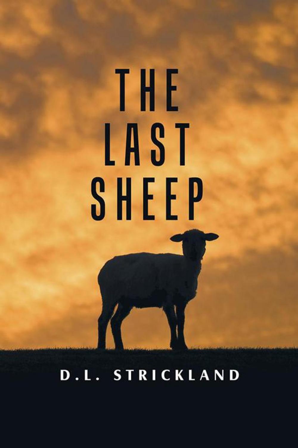 Big bigCover of The Last Sheep