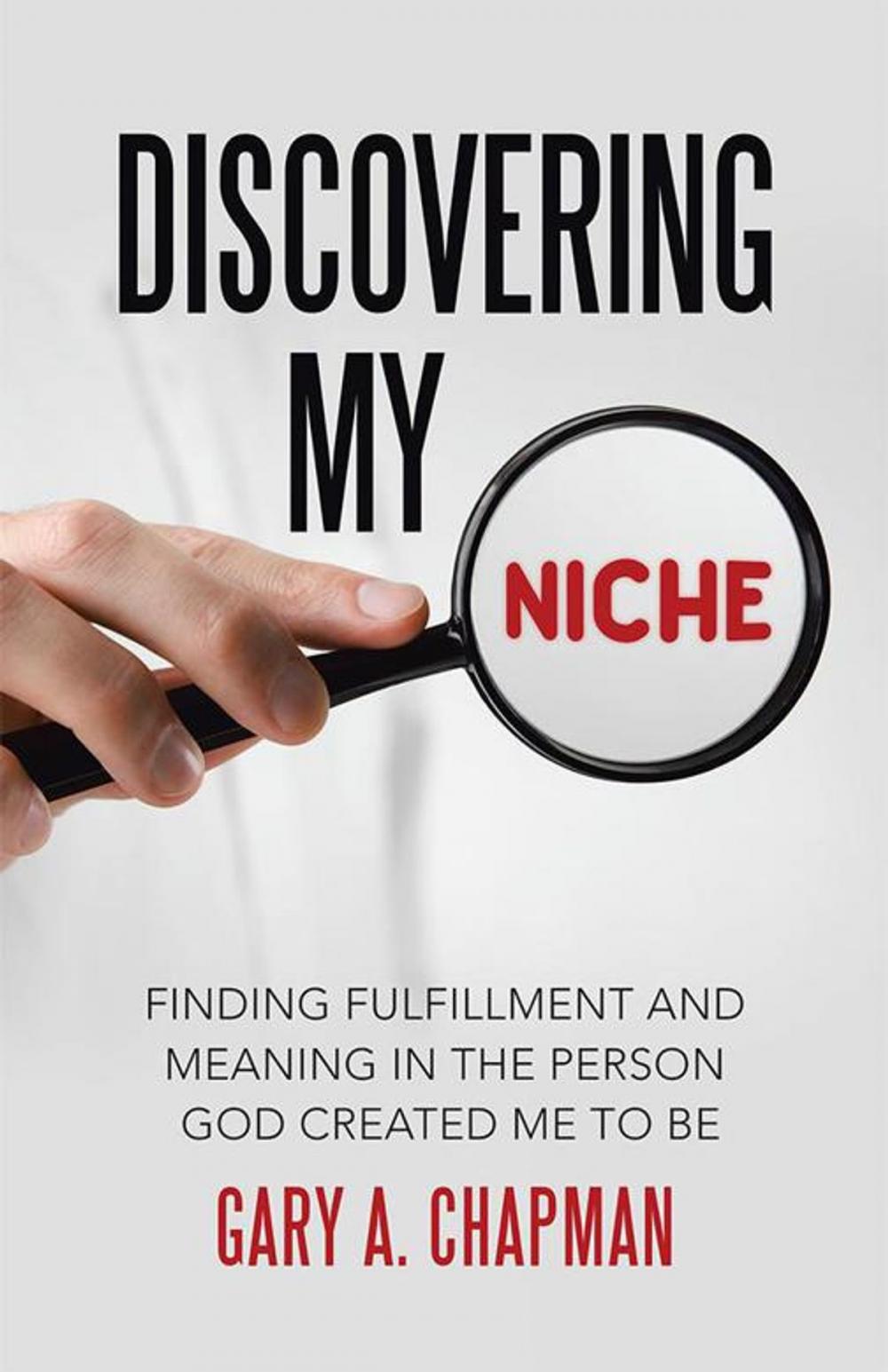 Big bigCover of Discovering My Niche