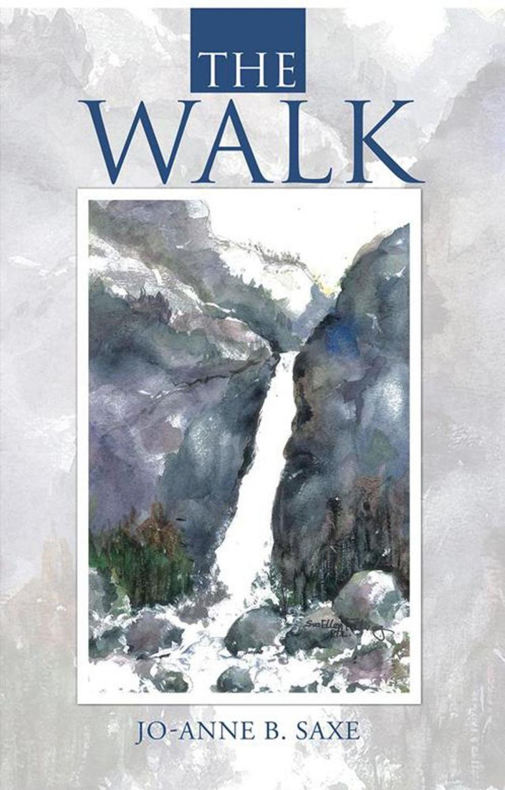 Big bigCover of The Walk