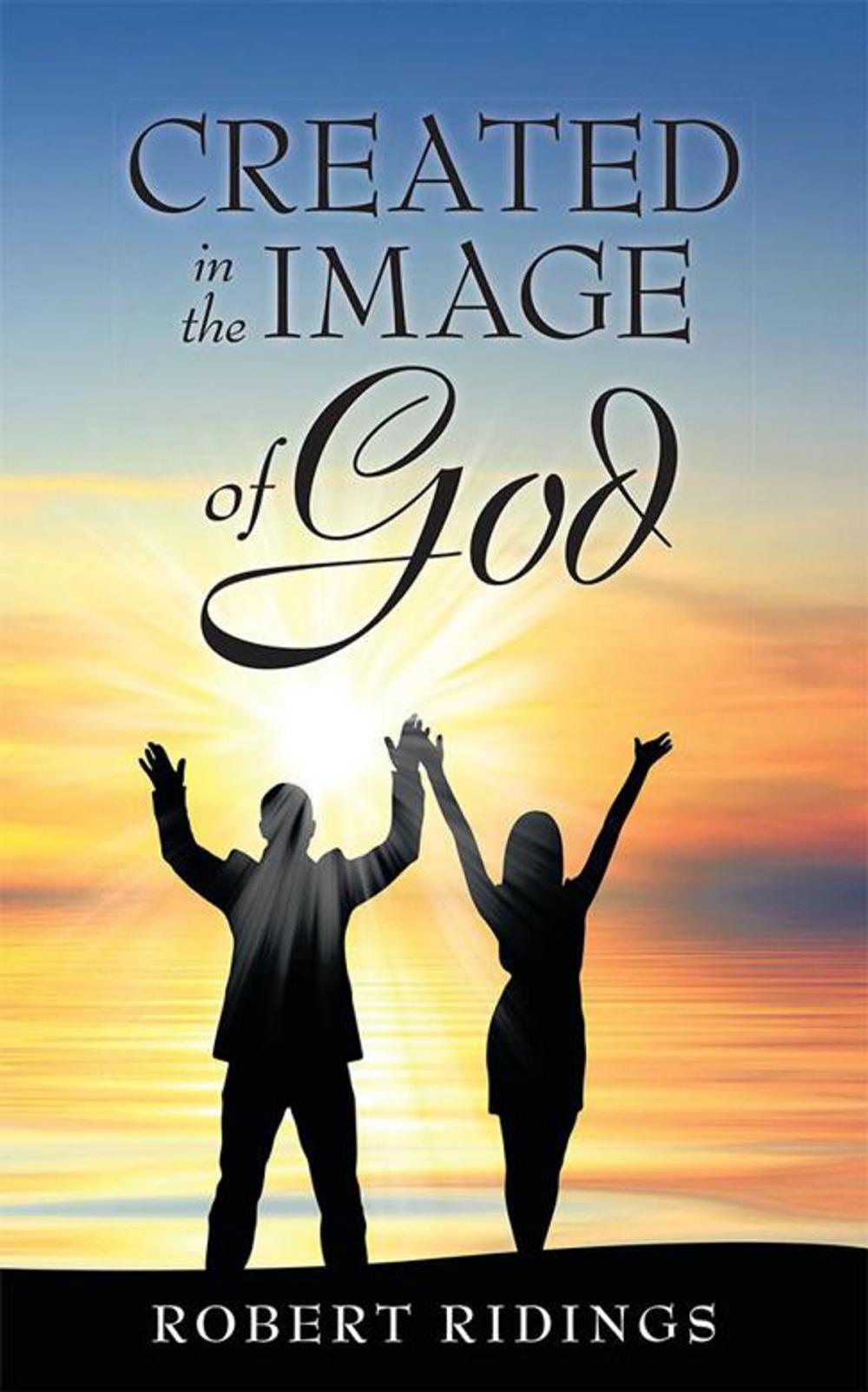 Big bigCover of Created in the Image of God