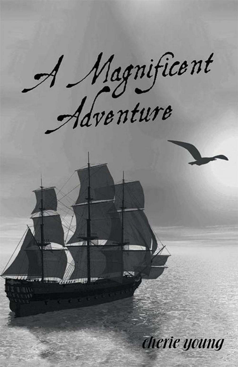 Big bigCover of A Magnificent Adventure