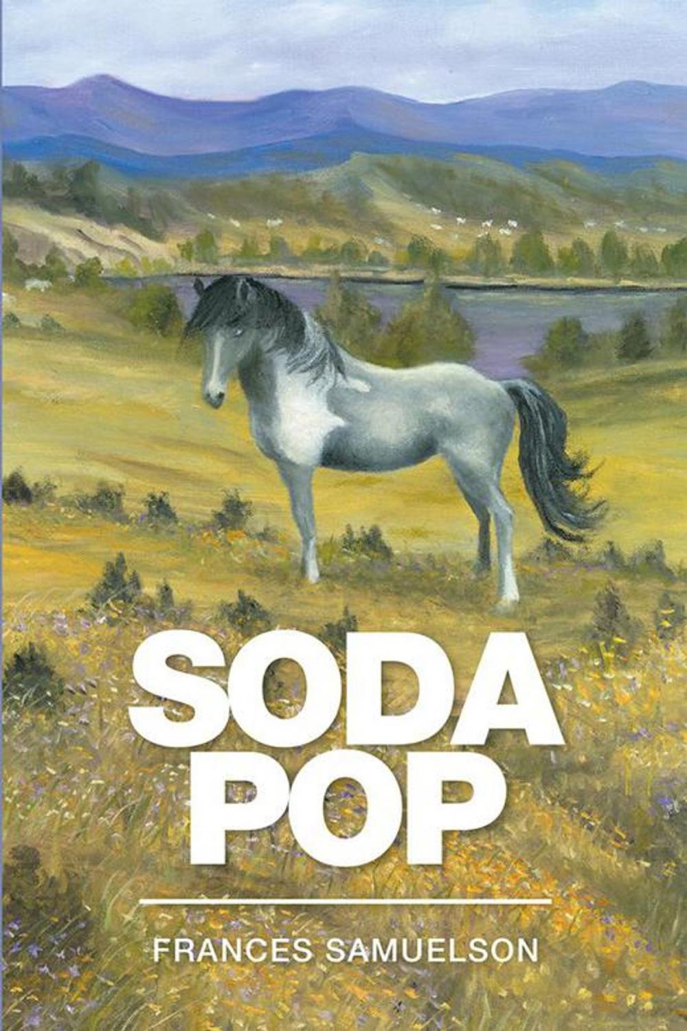 Big bigCover of Soda Pop