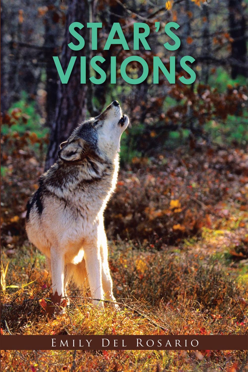 Big bigCover of Star's Visions