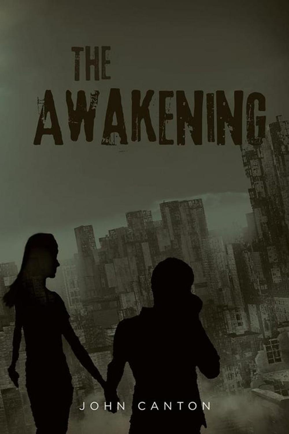 Big bigCover of The Awakening