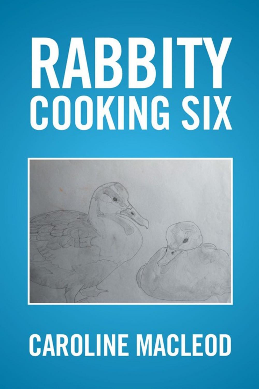 Big bigCover of Rabbity Cooking Six