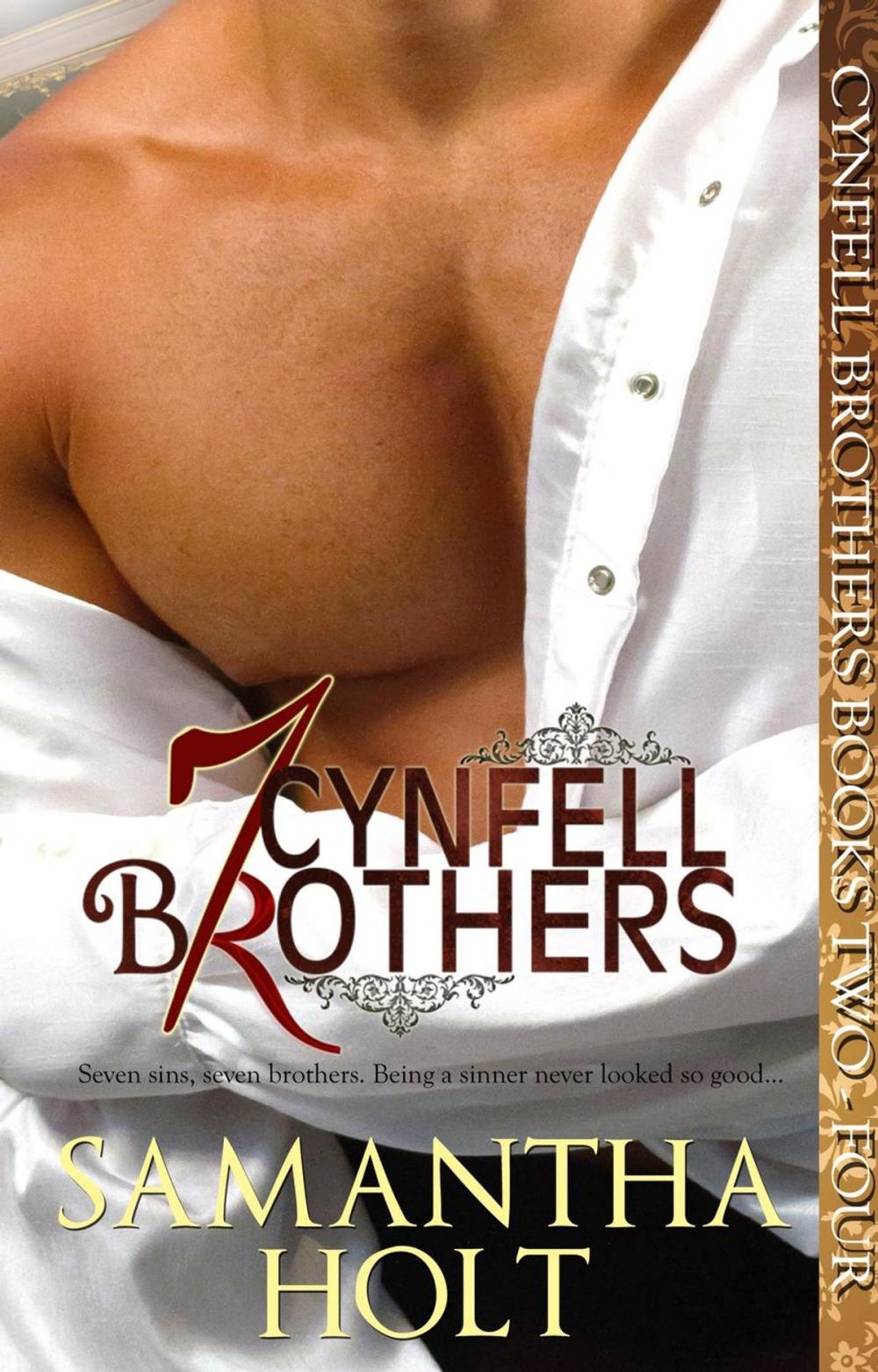 Big bigCover of Cynfell Brothers Books 2 - 4