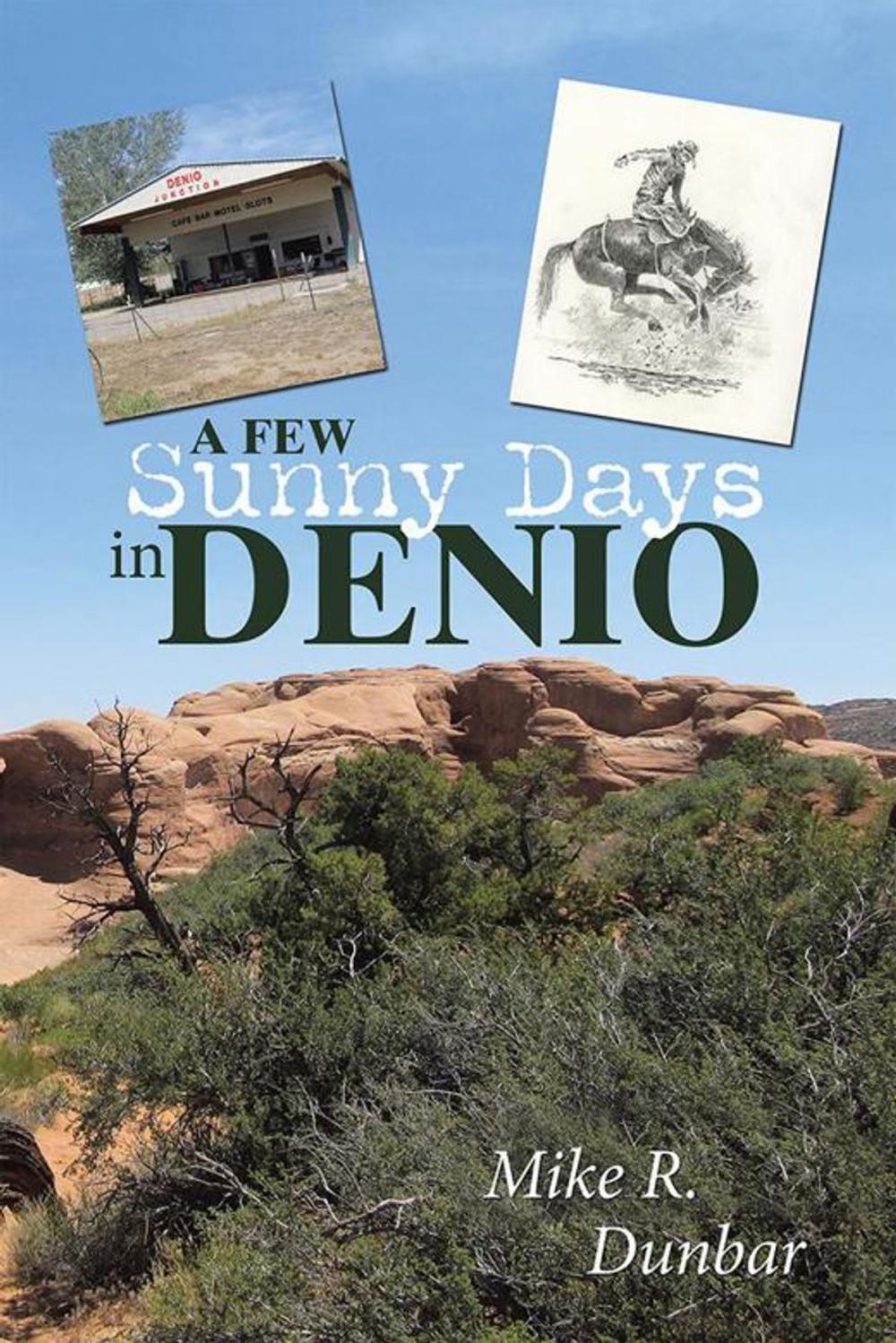 Big bigCover of A Few Sunny Days in Denio