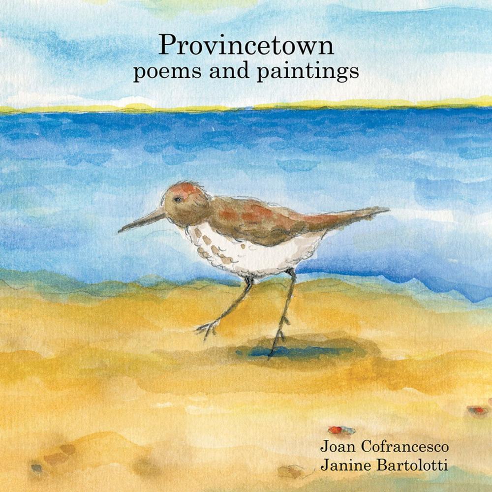 Big bigCover of Provincetown Poems and Paintings