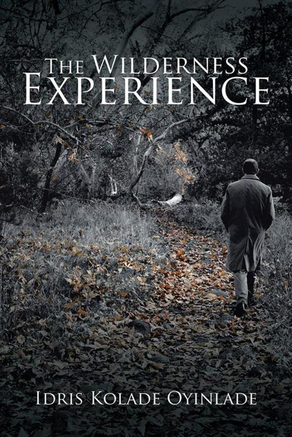 Big bigCover of The Wilderness Experience