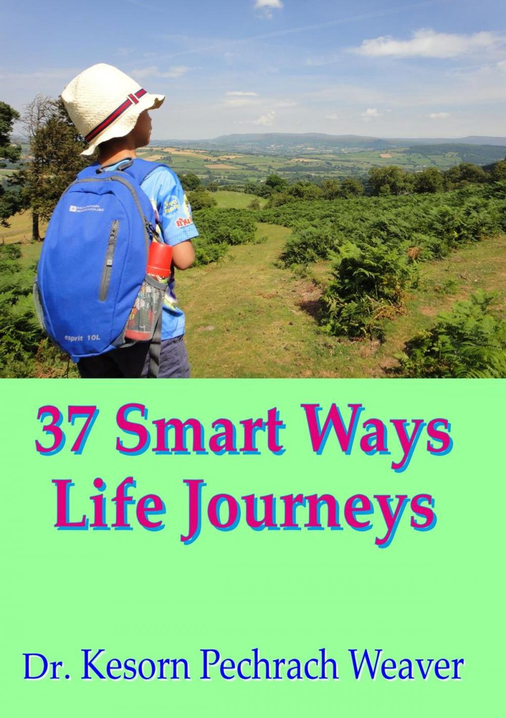 Big bigCover of 37 Smart Ways Life Journeys