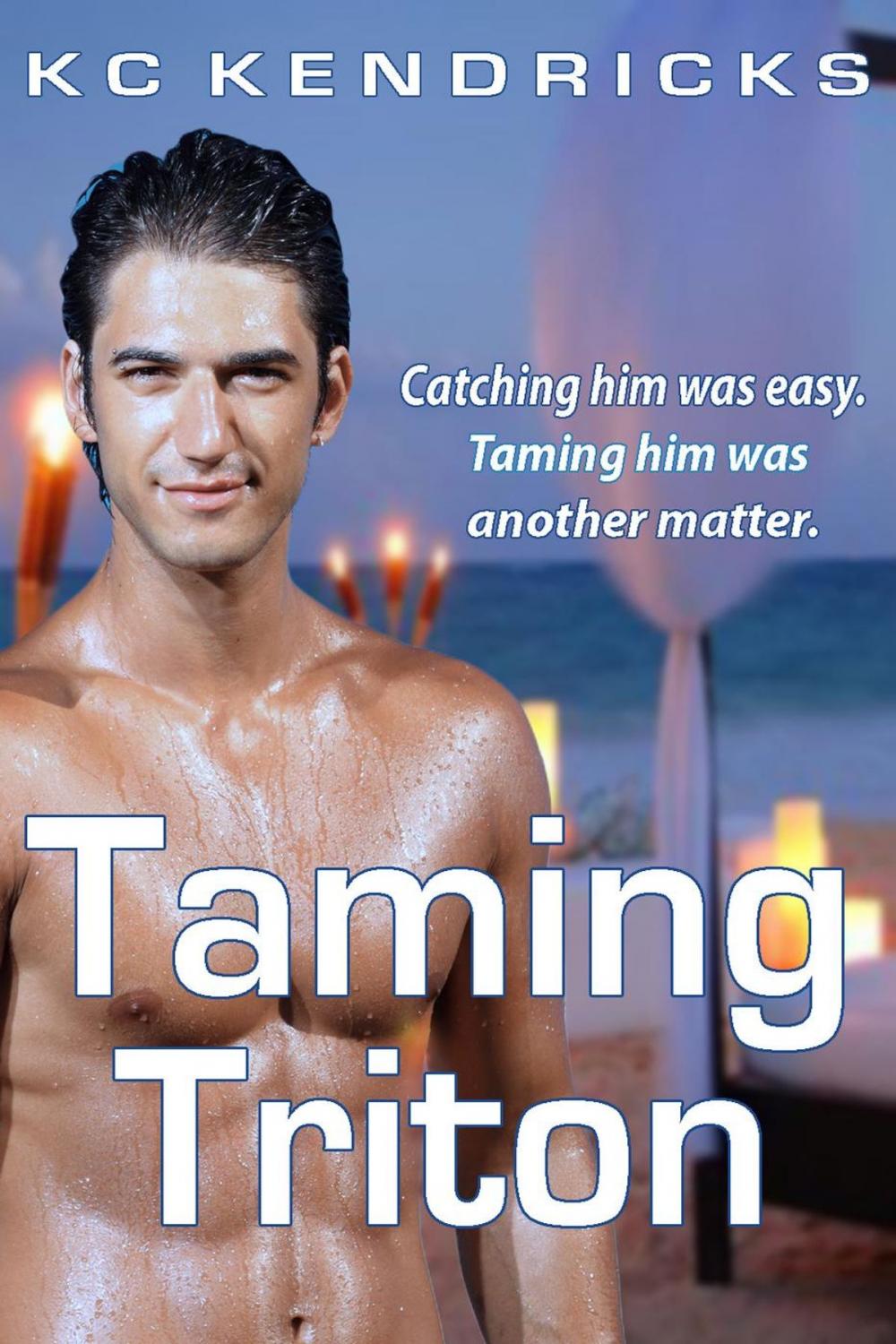 Big bigCover of Taming Triton