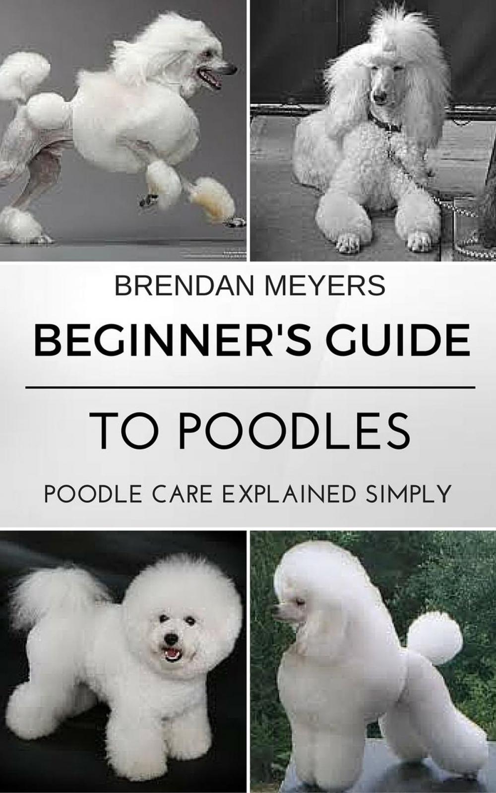 Big bigCover of Beginner's Guide To Poodles - Poodle Care Explained Simply